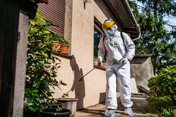 Best Rat Extermination Near Me  in Summerville, SC