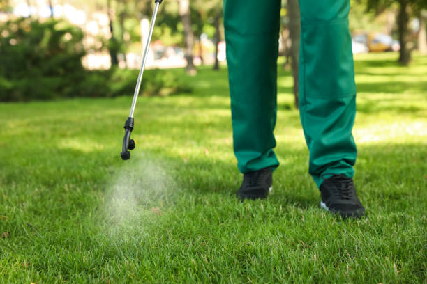 Best Termite Control Services  in Summerville, SC