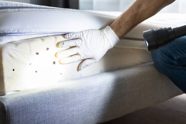 Best Pest Removal Services  in Summerville, SC