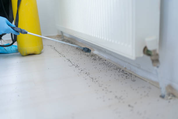 Best Pest Control Near Me in Summerville, SC