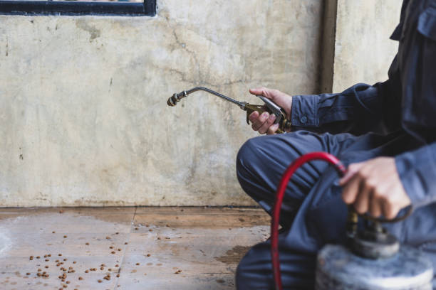 Best Mosquito Control Services  in Summerville, SC